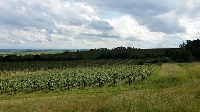 jižní Morava